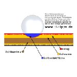 tischtennis-schwamm-2.jpg